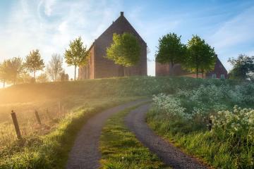 世俱杯-战歌交响曲，当绿茵信仰与篮筐热血同频共振