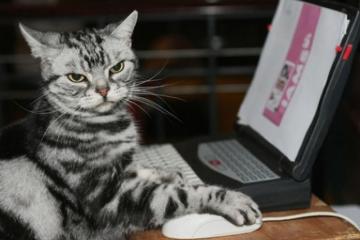 世俱杯直播-新王登基，西亚卡姆单骑屠龙，北岸花园见证统治之夜