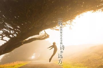 世俱杯分组-红色赛道上的黑色闪电，当牙买加血脉点燃F1终局之战