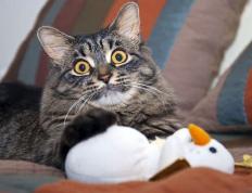 世俱杯-太极虎的战术牢笼，解析韩国教头如何缚住皇家社会，奥纳纳一夫当关