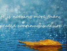 世俱杯直播-绿茵场上的篮球智慧，当欧冠半决赛遇见一波带走的哲学