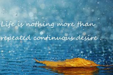 世俱杯直播-绿茵场上的篮球智慧，当欧冠半决赛遇见一波带走的哲学