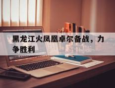 世俱杯决赛-黑龙江火凤凰卓尔备战，力争胜利