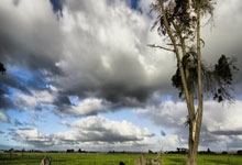 世俱杯2025-关于瓦伦西亚遭受惨败，欧冠资格赛区岌岌可危！的信息