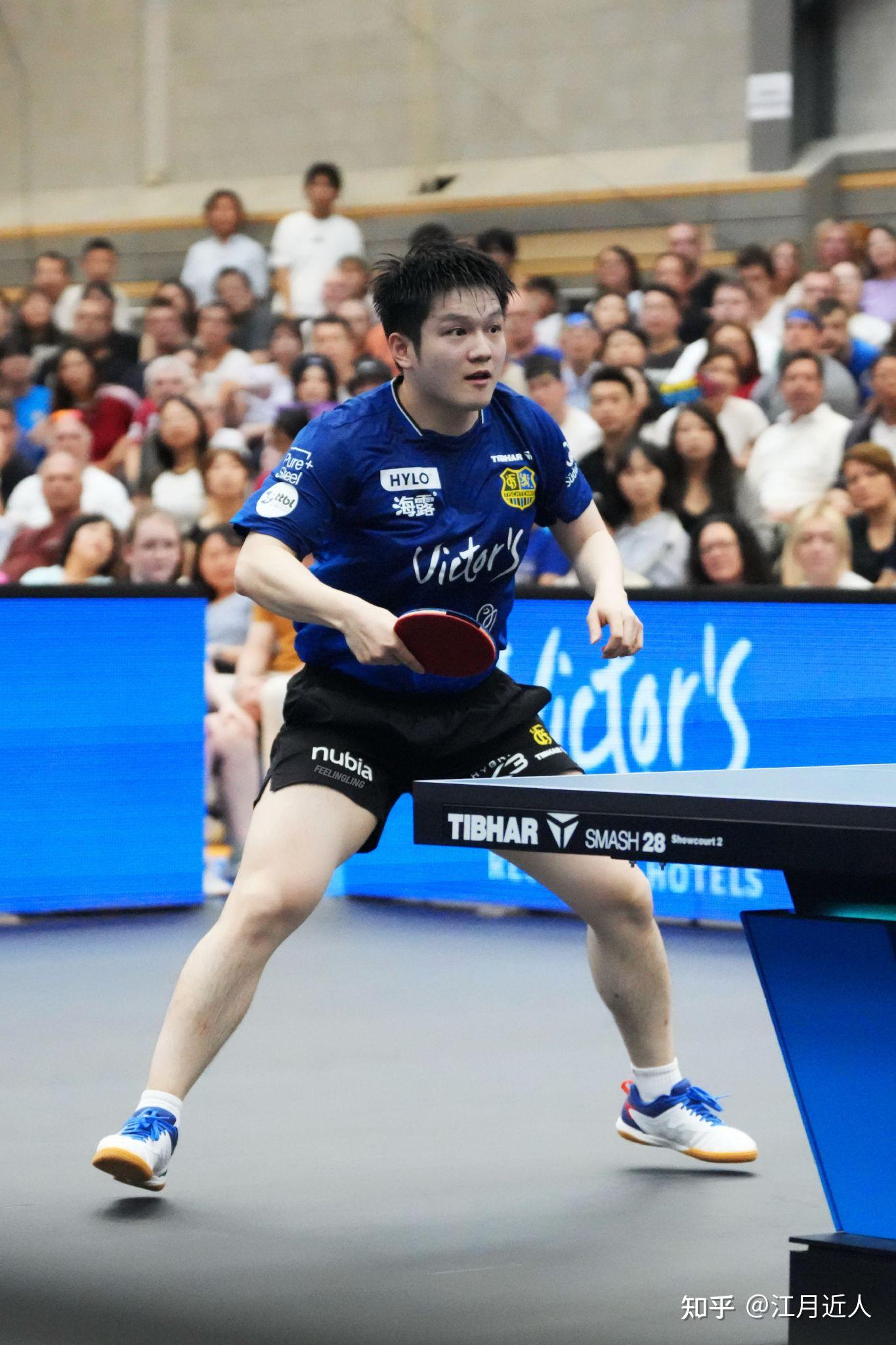 世俱杯决赛-德国乒乓球队绝杀中国乒乓球队，樊振东爆发神勇的简单介绍