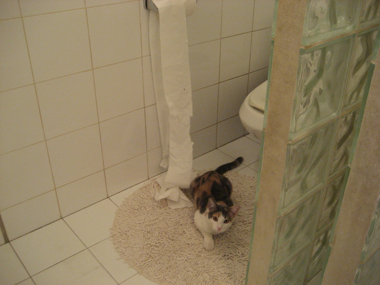 世俱杯参赛资格-胜利的悖论,当卡塔尔沙漠吞噬南非梦想,阿尔瓦雷斯在赛道加冕冰冷王冠