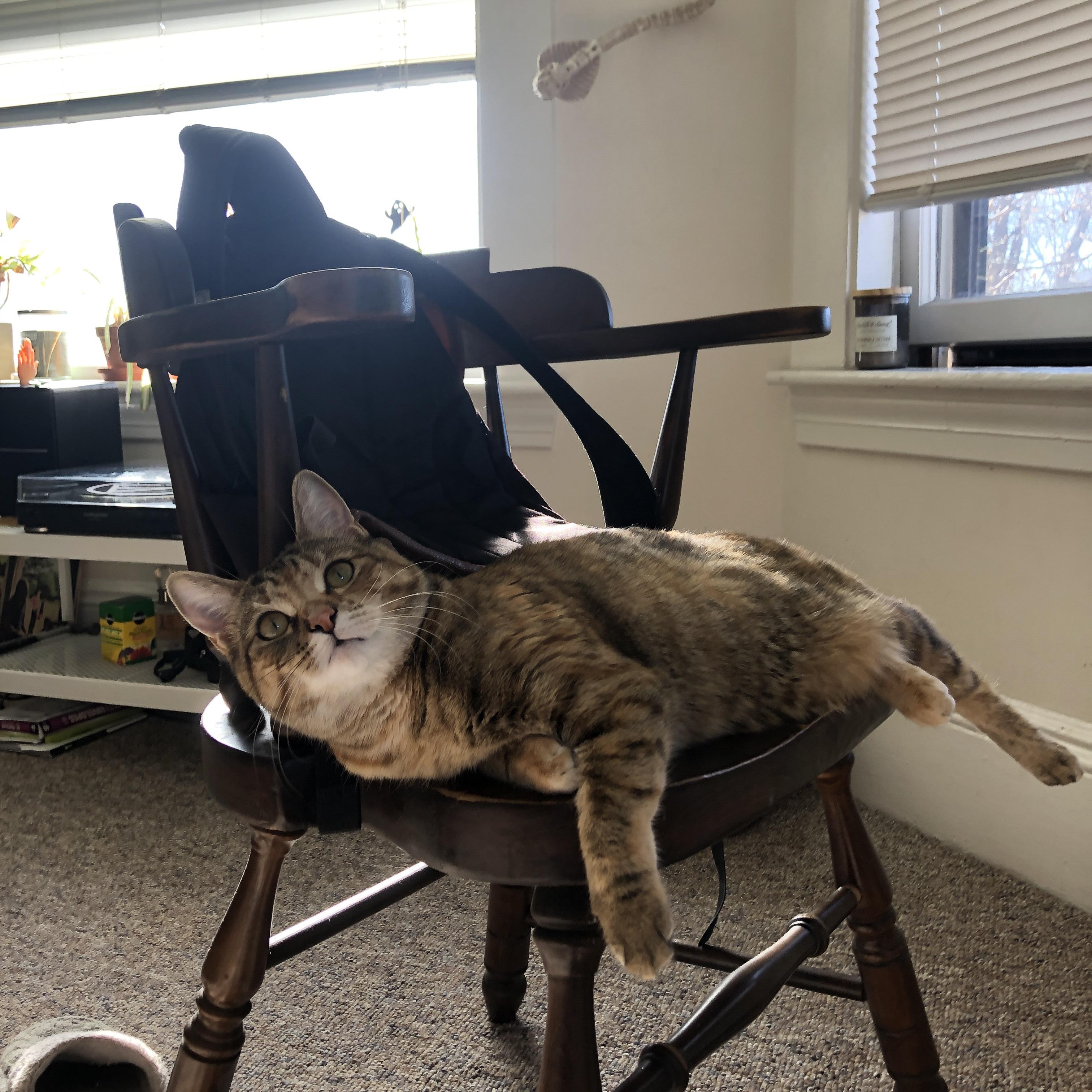 世俱杯决赛-巴雷拉压制级发挥闪耀全场，几内亚强势拿下秘鲁创佳绩