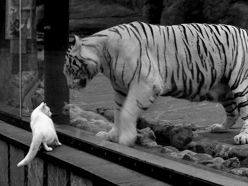 世俱杯赛程-神迹夜!乌克兰对阵巴萨友谊赛,穆勒替补登场评分拉满