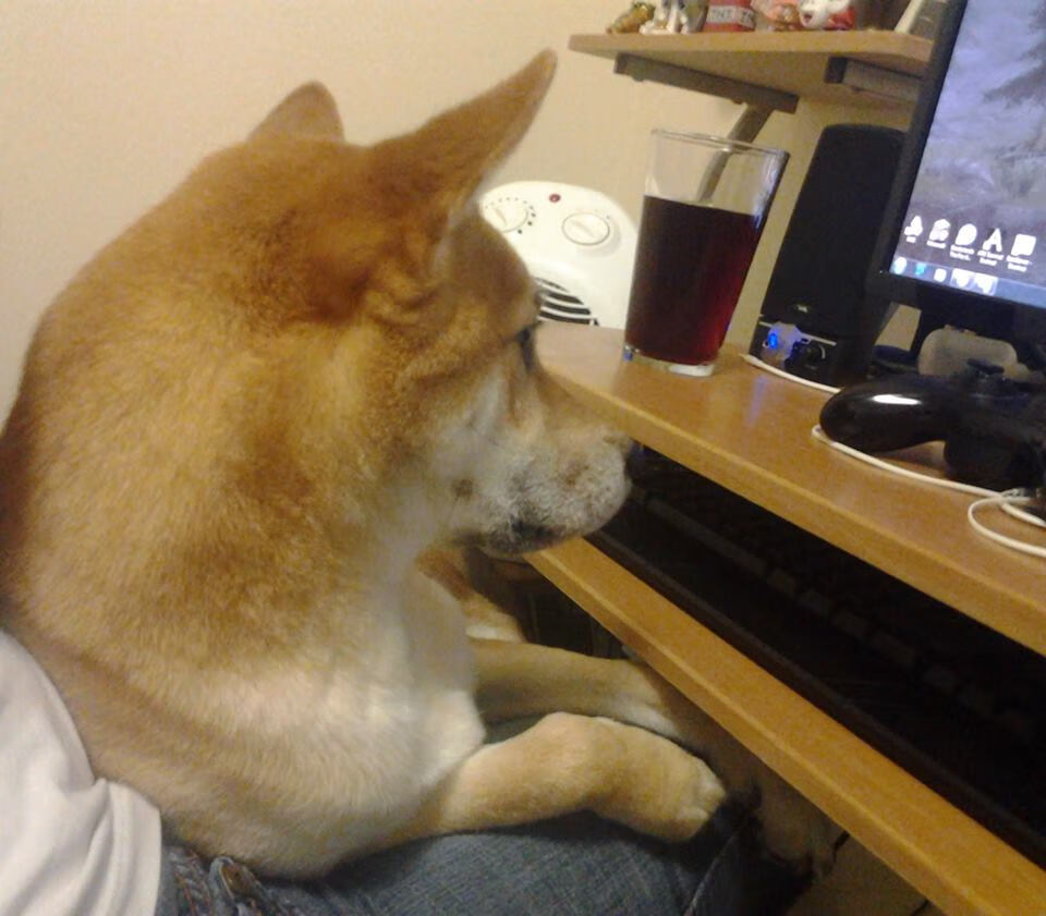 世俱杯改制-骑湖风云录，一场扭转格局的险胜