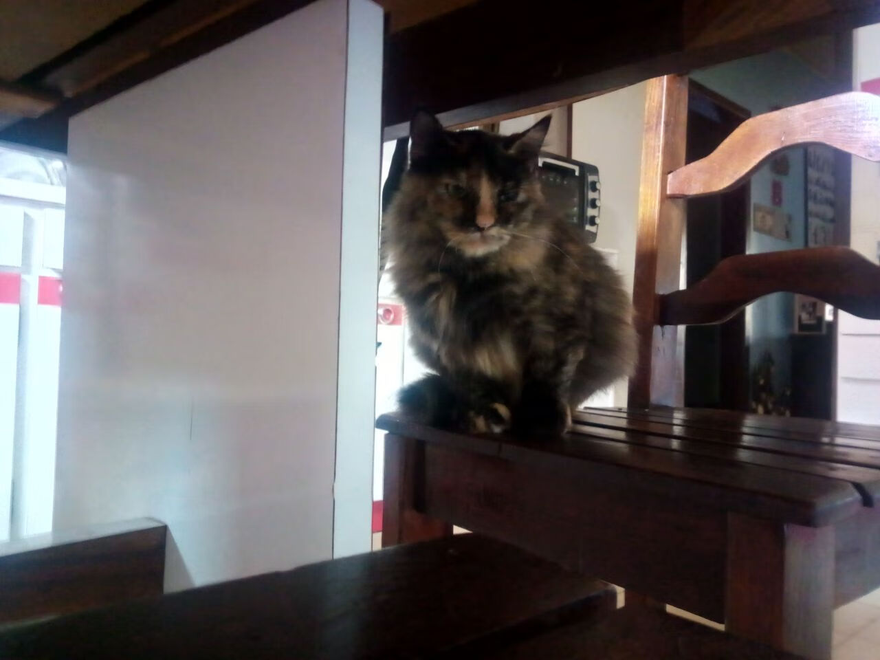 世俱杯改制-关键战突围背后，塔图姆用硬仗定义王的含金量