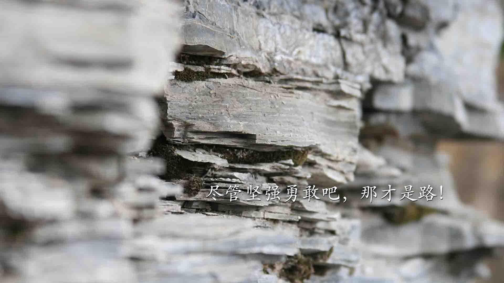 世俱杯-喀麦隆对阵拜仁，格列兹曼，硬仗之王的孤独加冕